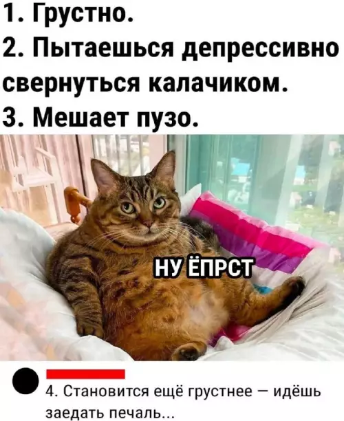 Смешная картинка №670137
