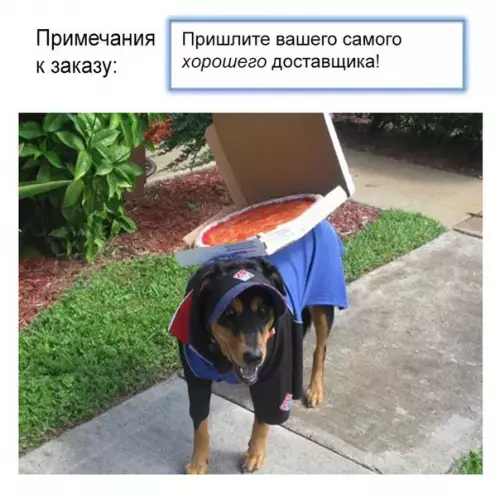 Смешная картинка №286789