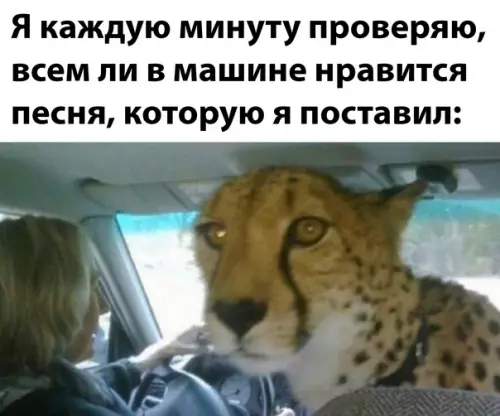 Смешная картинка №616253