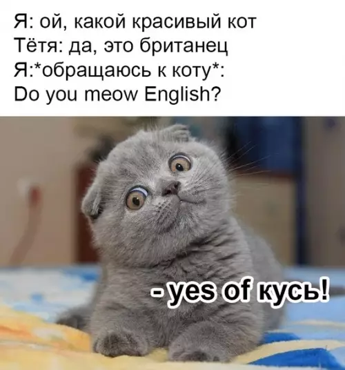 Смешная картинка №336906