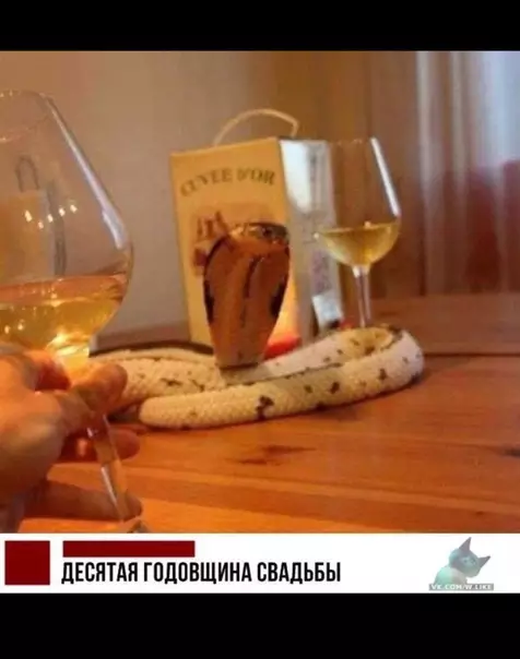 Смешная картинка №343994