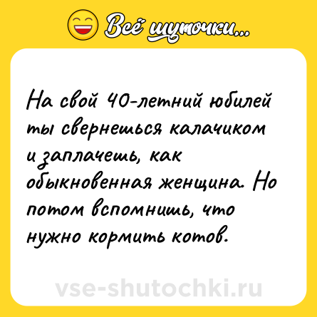 Шутка: На свой 40-летний юбилей ты свернешься калачиком и заплачешь, как обыкновенная женщина. Но потом вспомнишь, что нужно кормить котов.