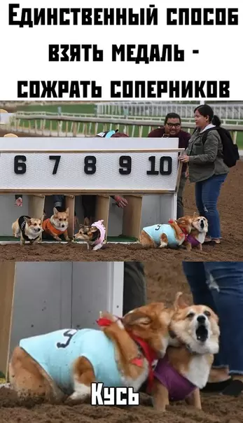 Смешная картинка №382633