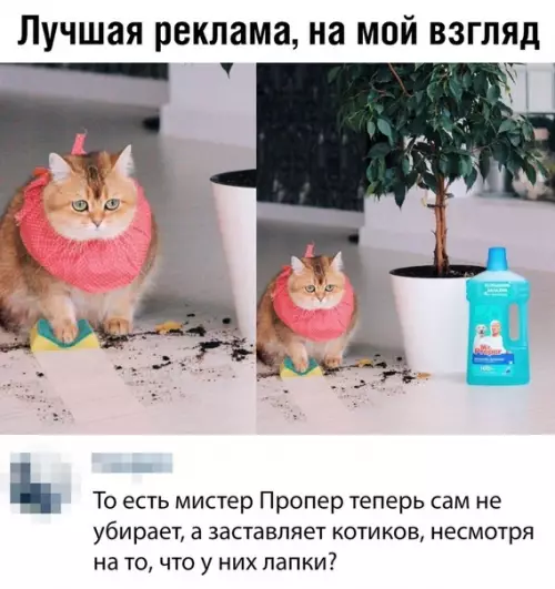 Смешная картинка №357479