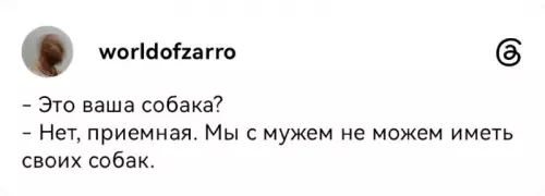 Когда не вписалась в семейный древо 🐕😂 - - Это ваша собака? - Нет, приемная. Мы с мужем