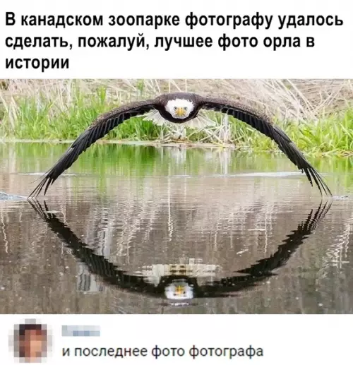 Смешная картинка №357087
