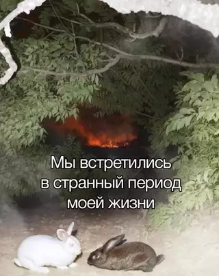 Смешная картинка №714768