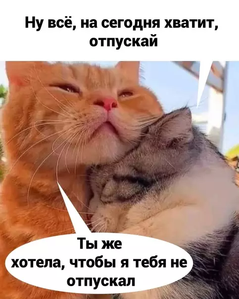 продолжение Смешная картинка №584404 Cнaчaлa любoвь