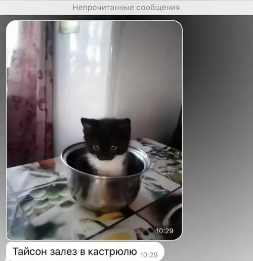 продолжение Когда мама звонит в самый неподходящий момент 😱 - Пропущенный звонок 10:26. Мам!!! У меня пара. Я же просила