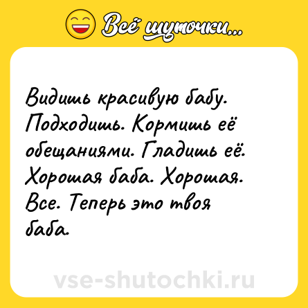 Шутка: Видишь красивую бабу. Подходишь. Кормишь её обещаниями. Гладишь её. Хорошая баба. Хорошая. Все. Теперь это твоя баба.