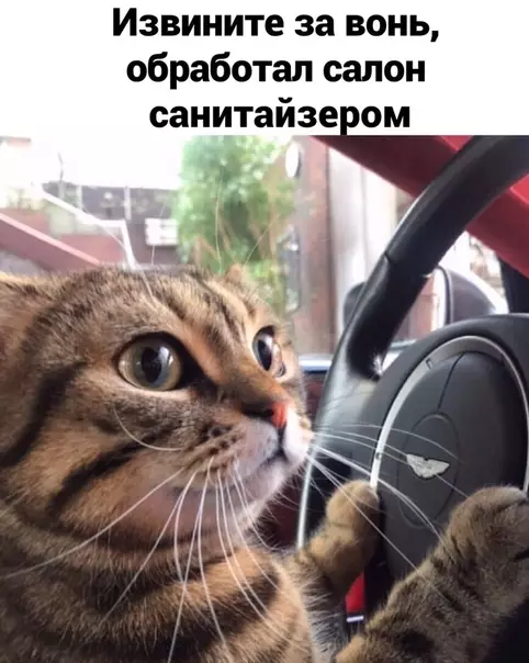 Смешная картинка №534302