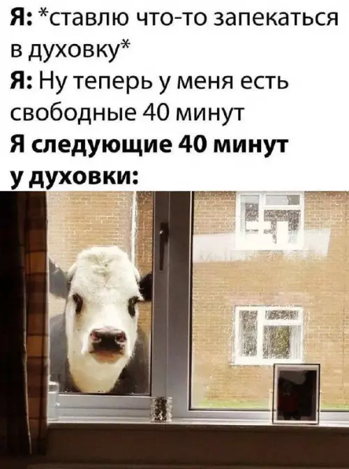 Смешная картинка №749559