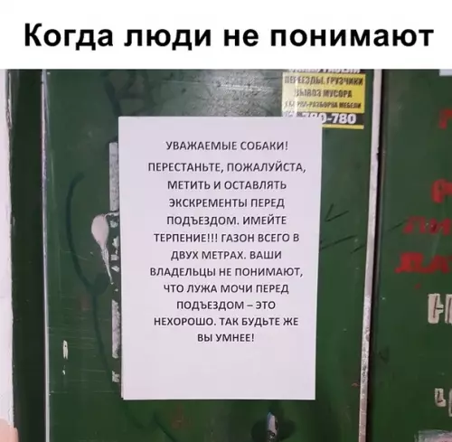Смешная картинка №340950
