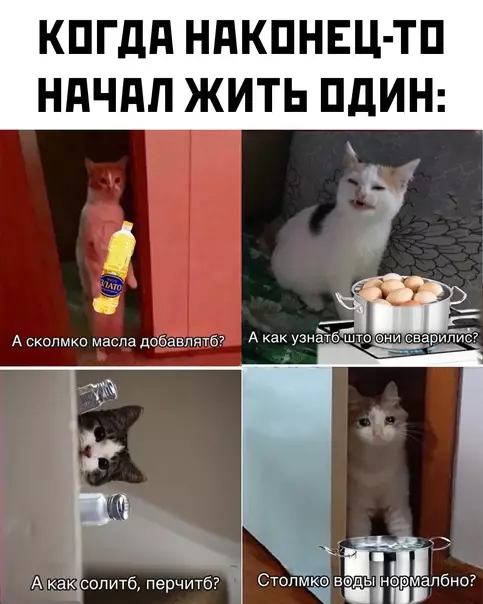 Смешная картинка №591025