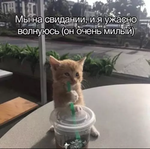 Смешная картинка №679461