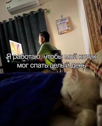 Смешная картинка №736139