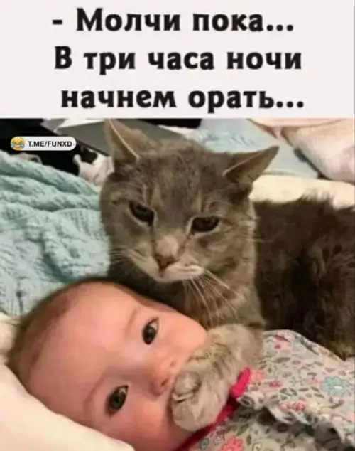 Смешная картинка №698793
