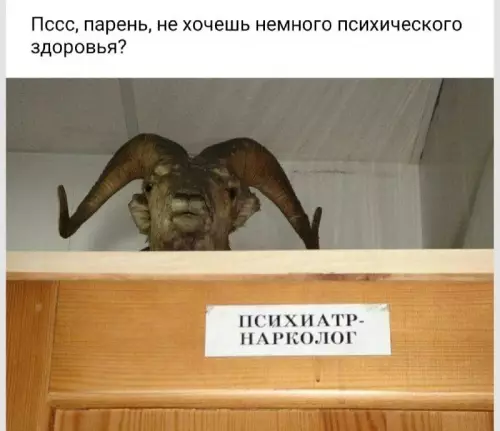 Залетай к нам, у нас есть кекс и спокойствие! 😂 - Пссс, парень, не хочешь немного психического здоровья? ПСИХИАТР-НАРКОЛОГ