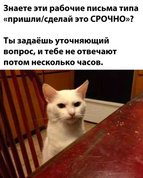 Смешная картинка №672193