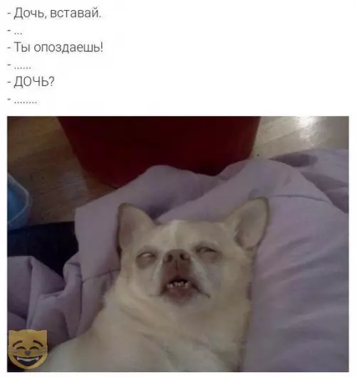 Смешная картинка №324404