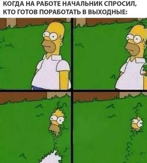 Смешная картинка №295983 работа