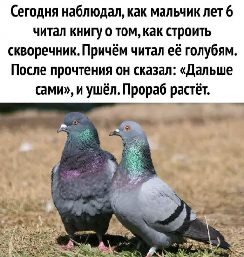 Смешная картинка №676785