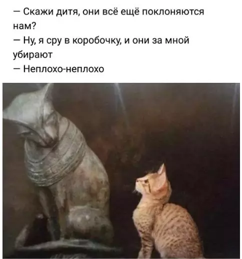 Смешная картинка №372171