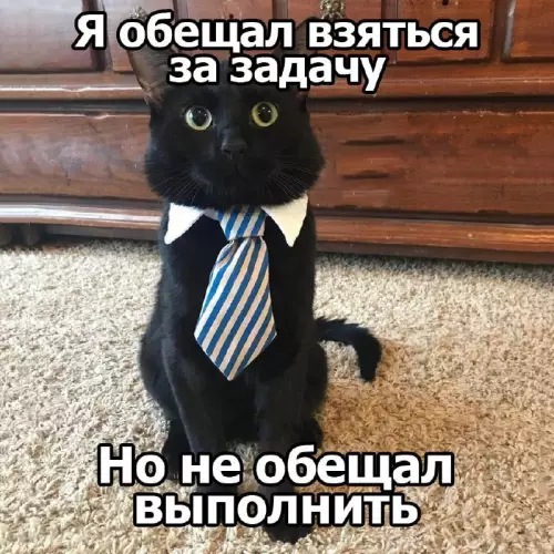 Смешная картинка №686917