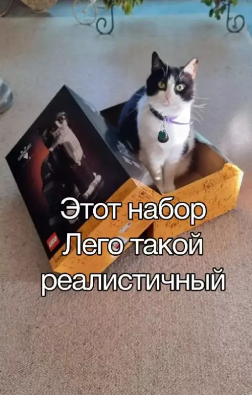 Смешная картинка №742145