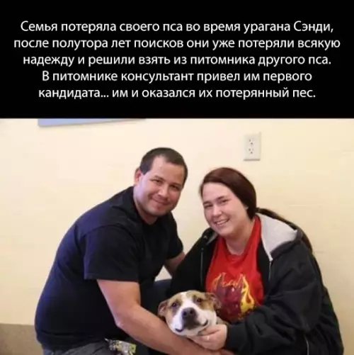 Смешная картинка №298734