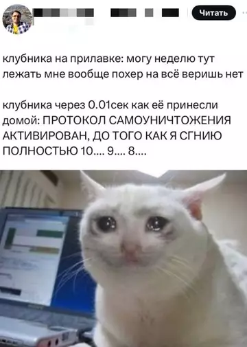 Смешная картинка №765349 Жиза
