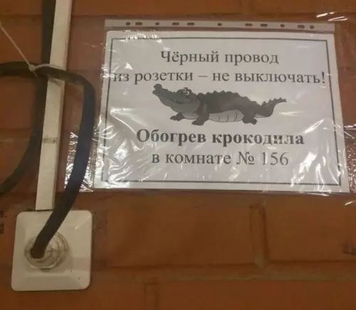 Смешная картинка №313141 Какой теплолюбивый крокодил!?