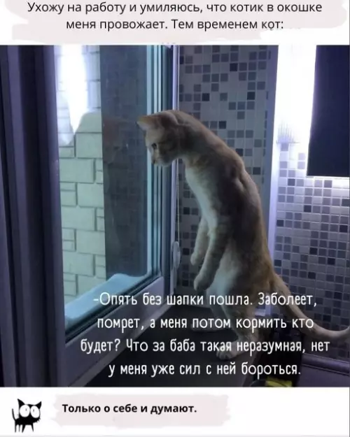 Смешная картинка №703795