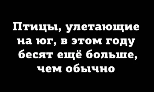 Смешная картинка №529262 Пoчeмy oни, a нe я