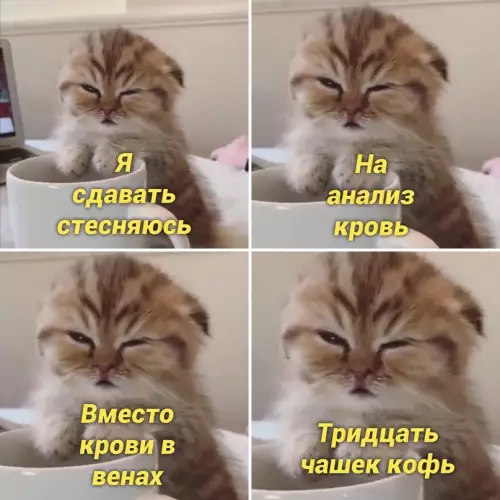 Смешная картинка №667335