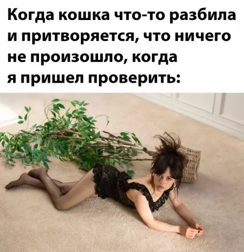 Смешная картинка №675368