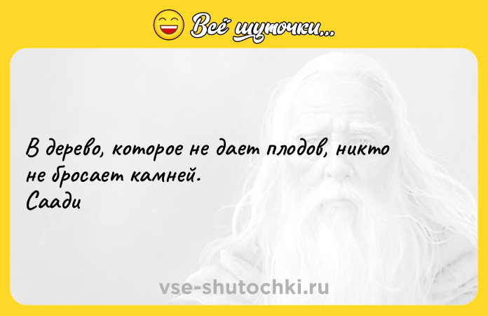 Цитата: В дерево, которое не дает плодов, никто не бросает камней. Саади