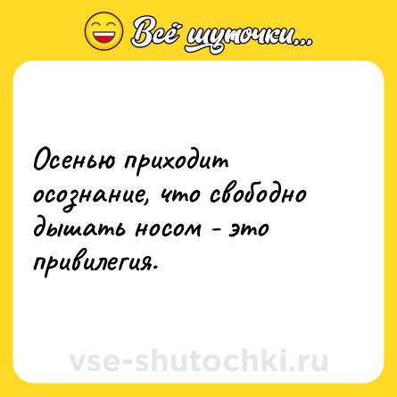 Шутка: Осенью приходит осознание, что свободно дышать носом - это привилегия.