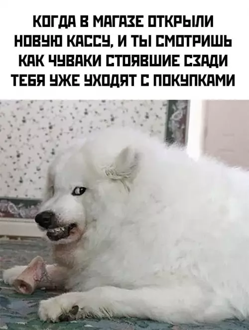 Смешная картинка №772894