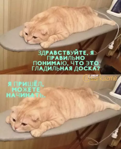 Смешная картинка №652195