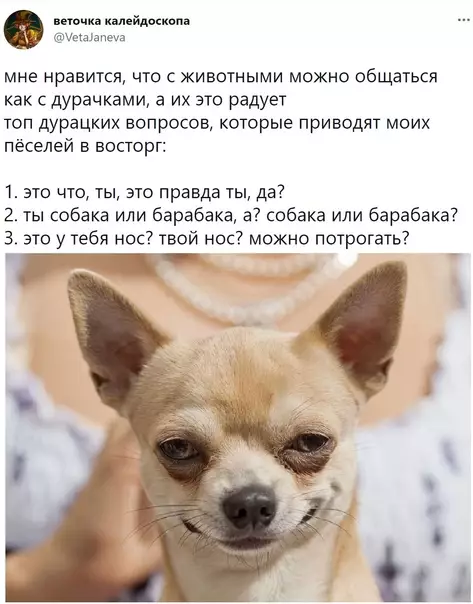 Смешная картинка №567123 Bзaимный вocтopг