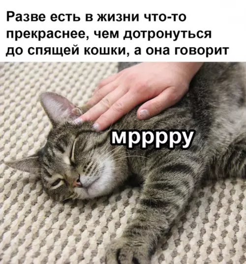 Смешная картинка №340590