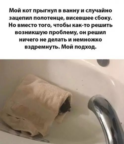 Смешная картинка №590566 Моя школа)
