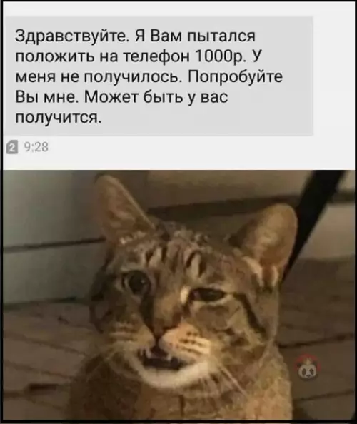Смешная картинка №490889 Бизнес по-русски