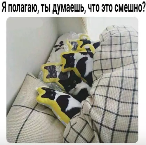Смешная картинка №245360