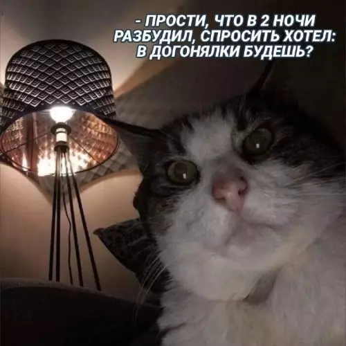Смешная картинка №677560