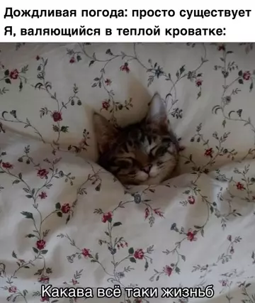 Смешная картинка №723744