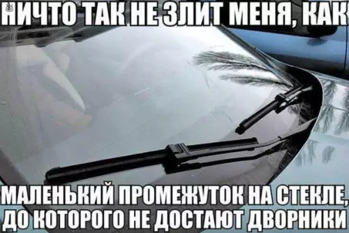 Смешная картинка №310679