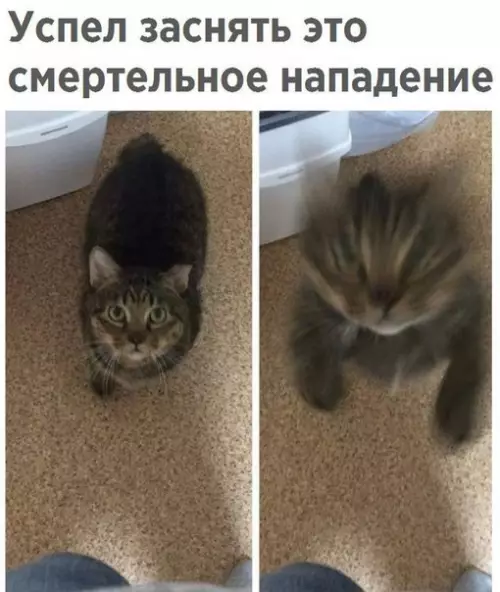 Смешная картинка №256812