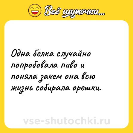 Шутка: Одна белка случайно попробовала пиво и поняла зачем она всю жизнь собирала орешки.